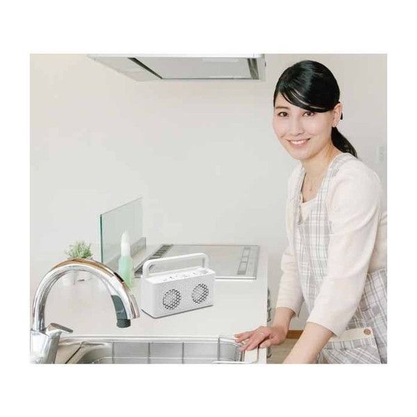 TEES TSP-M29 みみちか [テレビ用ワイヤレススピーカー] | 激安の新品