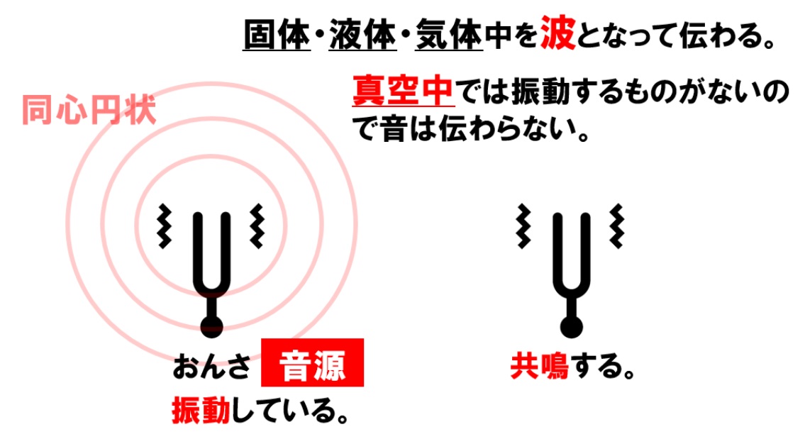 中1理科「音の性質を徹底解説！速さ・振動数の計算と振幅のポイント