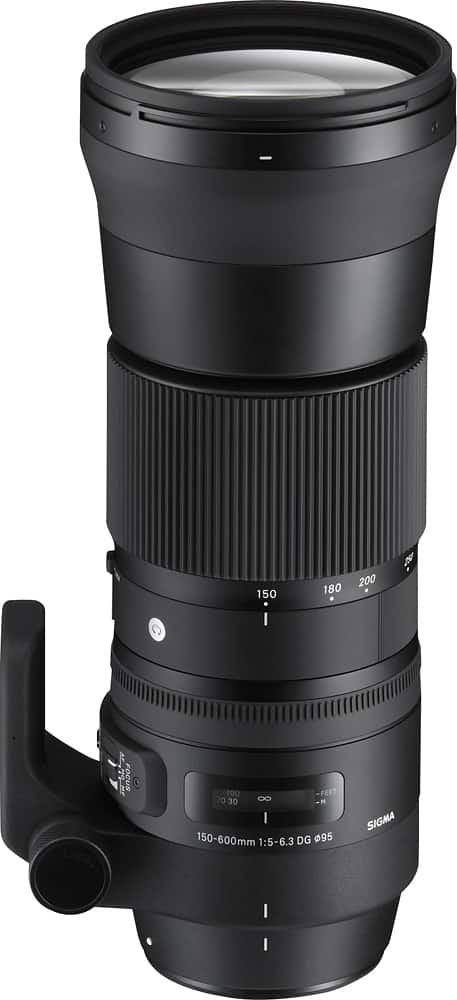 Sigma 150 600mm f/5 6.3 Sports DG OS HSM Contemporary Telephoto