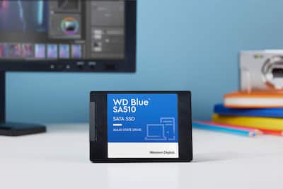 WD Blue SA510 1TB Internal SSD SATA WDBB8H0010BNC-WRSN - Best Buy