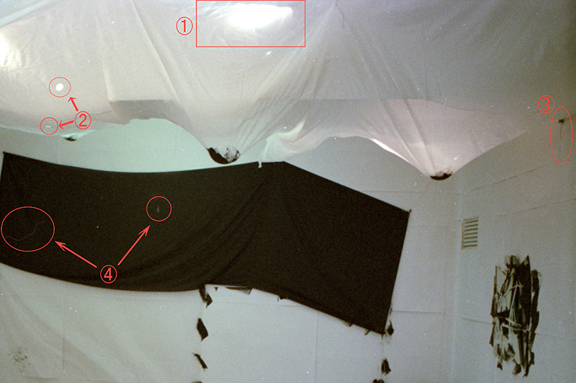 EPSON GT-X980 ネガスキャン時のホコリ – 写真の記録帖