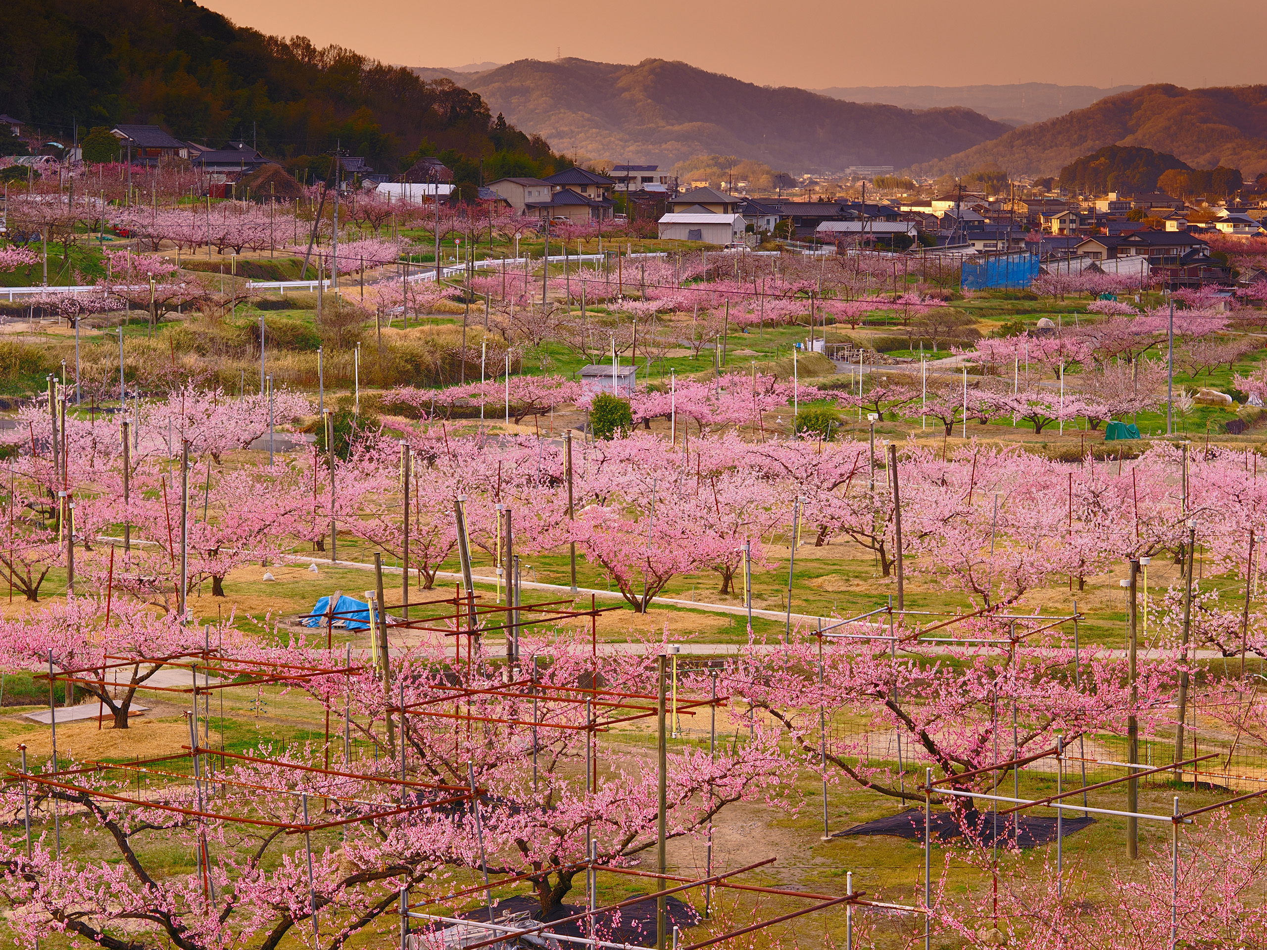 中望遠レンズで何を撮る？日常・風景スナップ編- 木村琢磨-｜テーブル