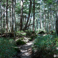 NIKON(ニコン)のデジタルカメラCOOLPIX S9700 で撮影した写真(画像