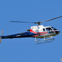 SIGMA(シグマ)のレンズ APO 150-500mm F5-6.3 DG OS HSM (ﾆｺﾝ用) で