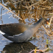 PANASONIC(パナソニック)のデジタルカメラLUMIX DC-TZ90 で撮影した