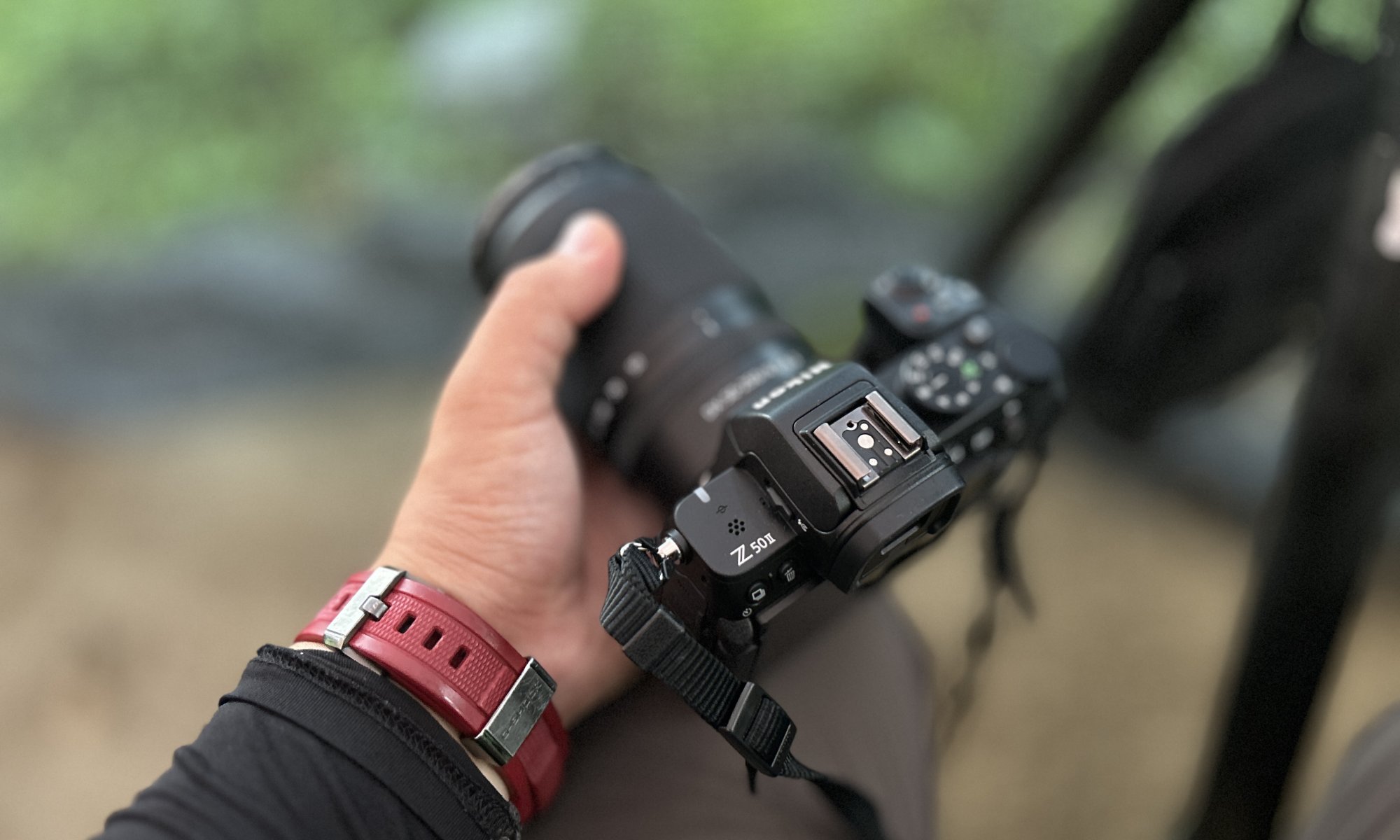 NikonZ50Ⅱと50-250mmで野鳥（ヤマセミ）を撮ってみた！ » 野鳥撮影