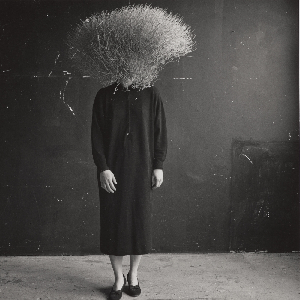 Ann Hamilton at the Cleveland Museum of Art in Cleveland: Arts