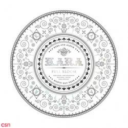 Kara Special Premium Box For Japan - Kara