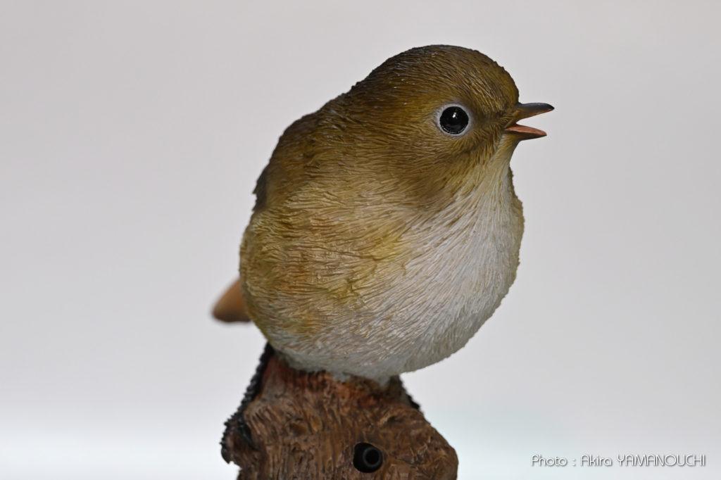 Nikon Z8（Ver. 2.00）+NIKKOR Z 600mm f/6.3 VR S：鳥モードの被写体検出