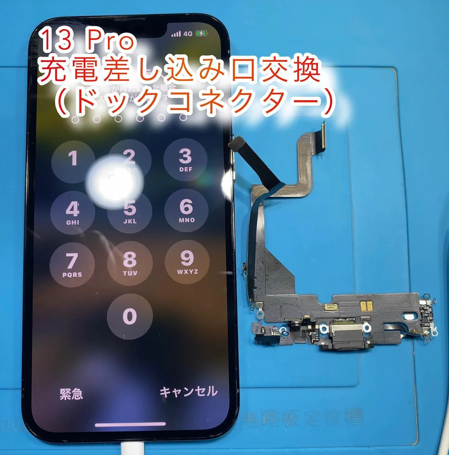 iPhone13 Pro | ブログ | iPhone・iPad修理なら「フォーンドクター