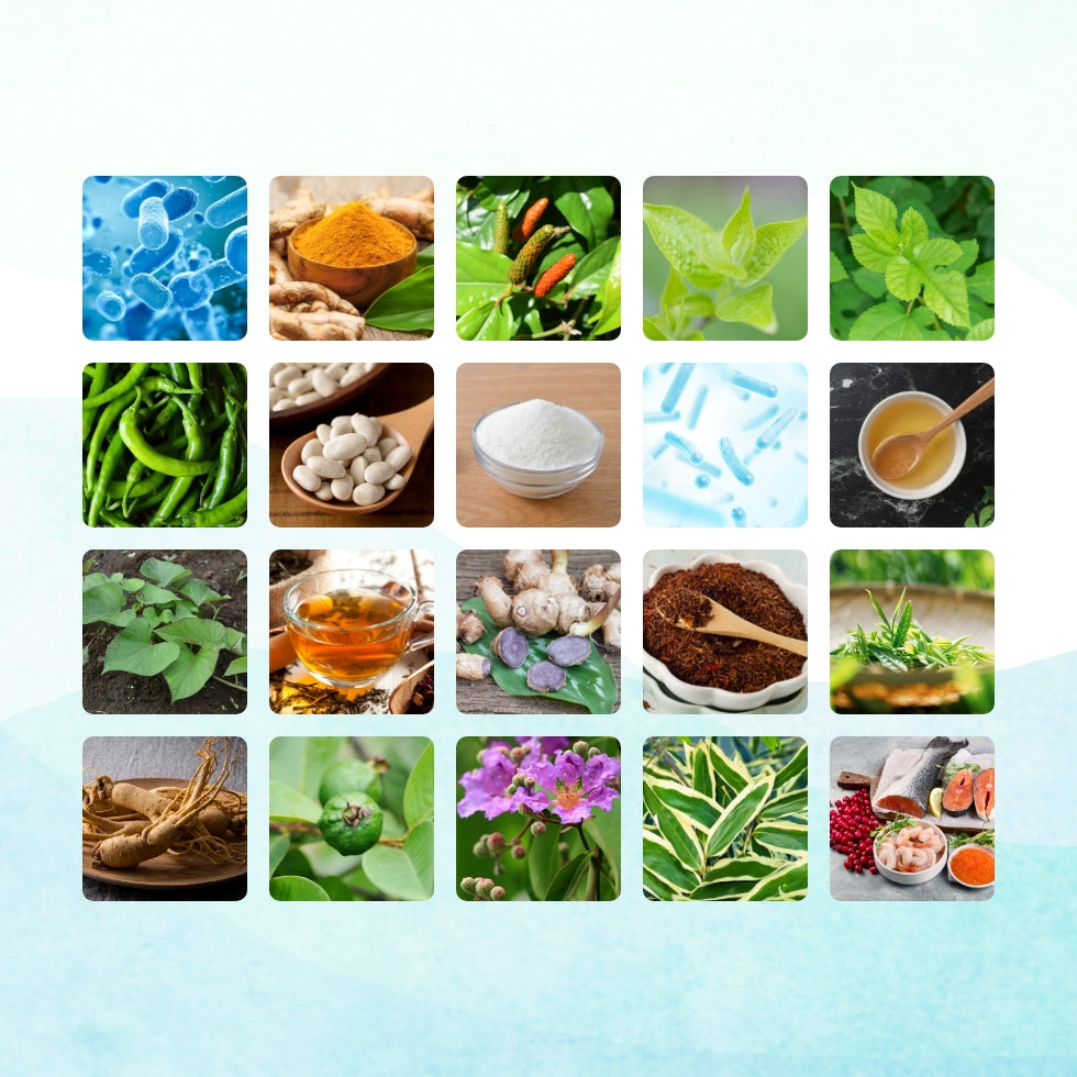 ポコスリム 120粒入/約30日分 – ポコスリム公式ショップ