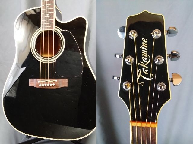 PT-209 Takamine - PoloPPo Guitar Visual Dictionary