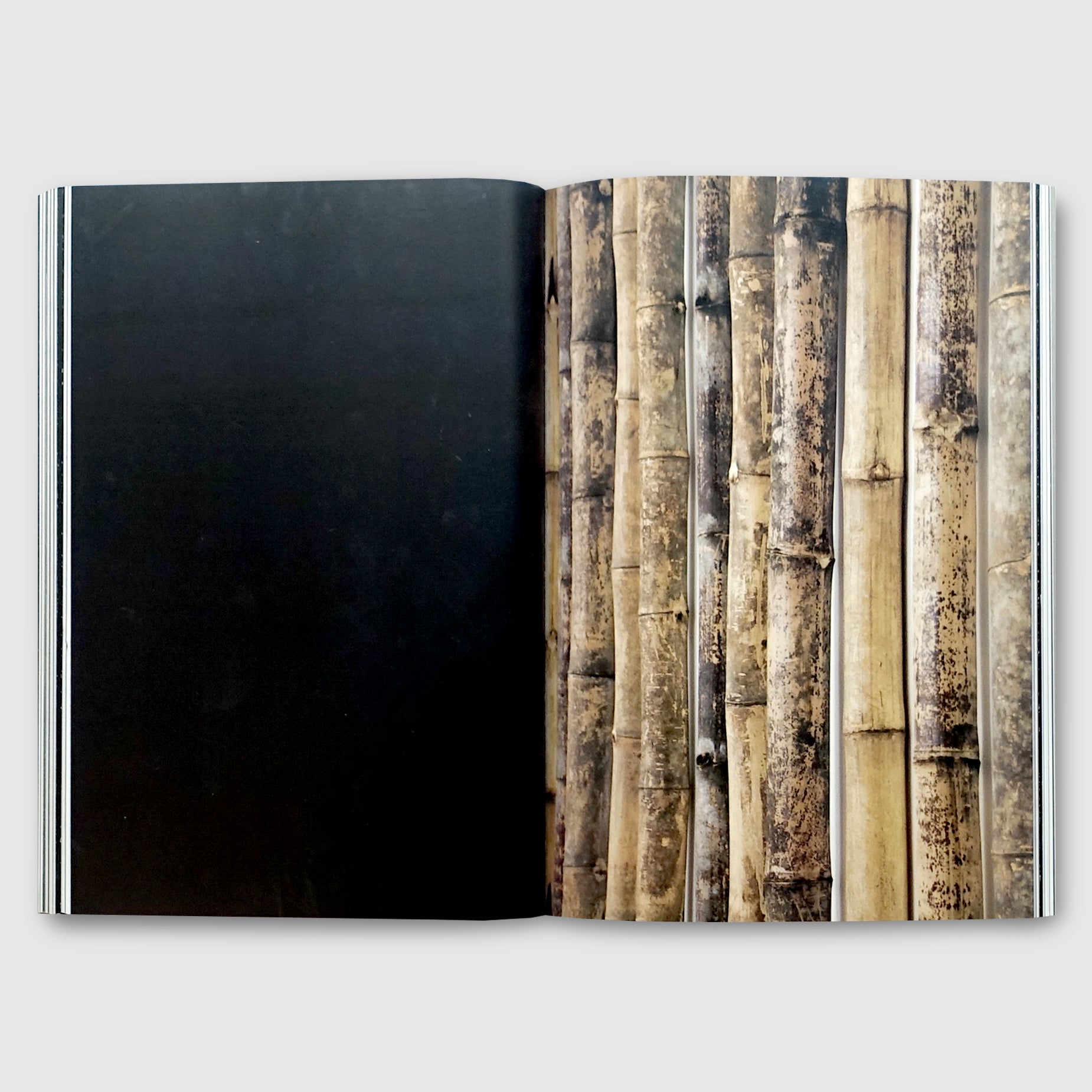 herman de vries「fragments」 ヘルマン・デ・フリース HERMAN DE