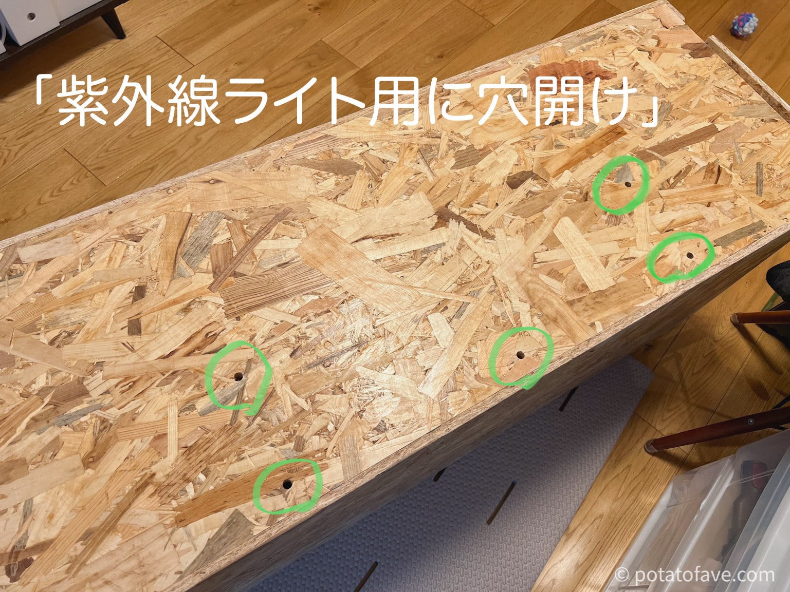 自作木製ケージ】フトアゴ用ケージをOSB材で自作！パート3