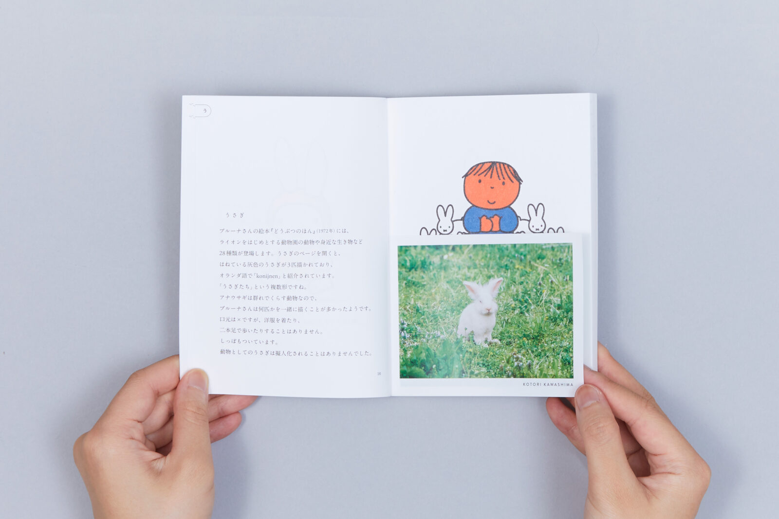 終了）「誕生65周年記念 ミッフィー展」 展覧会グッズ｜PLAY! MUSEUMとPARK