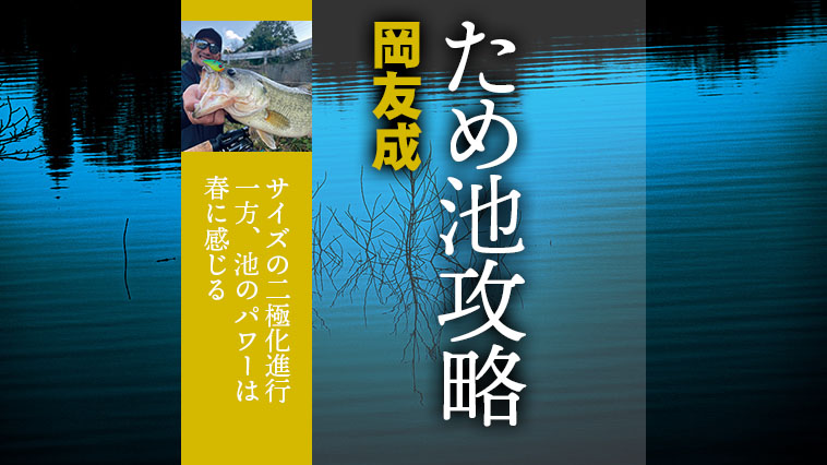 ため池バス釣りエキスパート岡友成さんの攻略メソッドを大公開