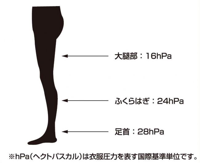 ダイアナロングセラー商品「医療用弾性ストッキング」として