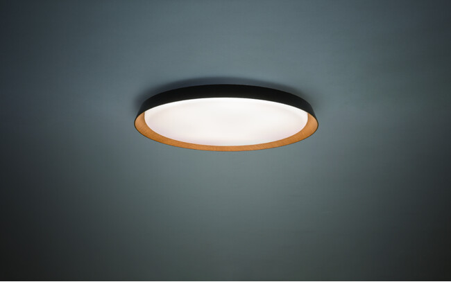 天井にウッドデザインでアクセントを。調光・調色可能なシーリング