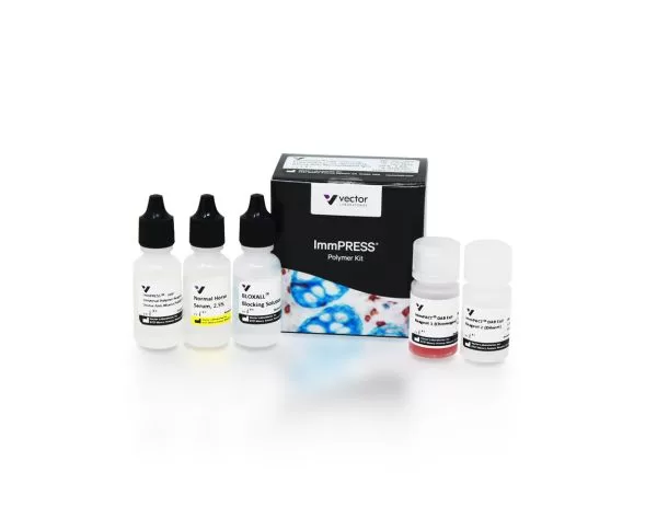 ImmPRESS HRP Universal (Horse Anti-Mouse/Rabbit IgG) PLUS Polymer