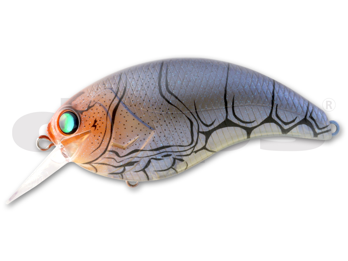 EVOKE 4.0 | deps OFFICIAL HP | デプス 公式HP