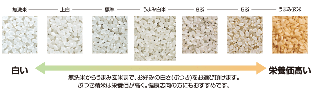 コイン精米機［CP420・CPH420］ | 調製機（籾すり機等） | 商品情報