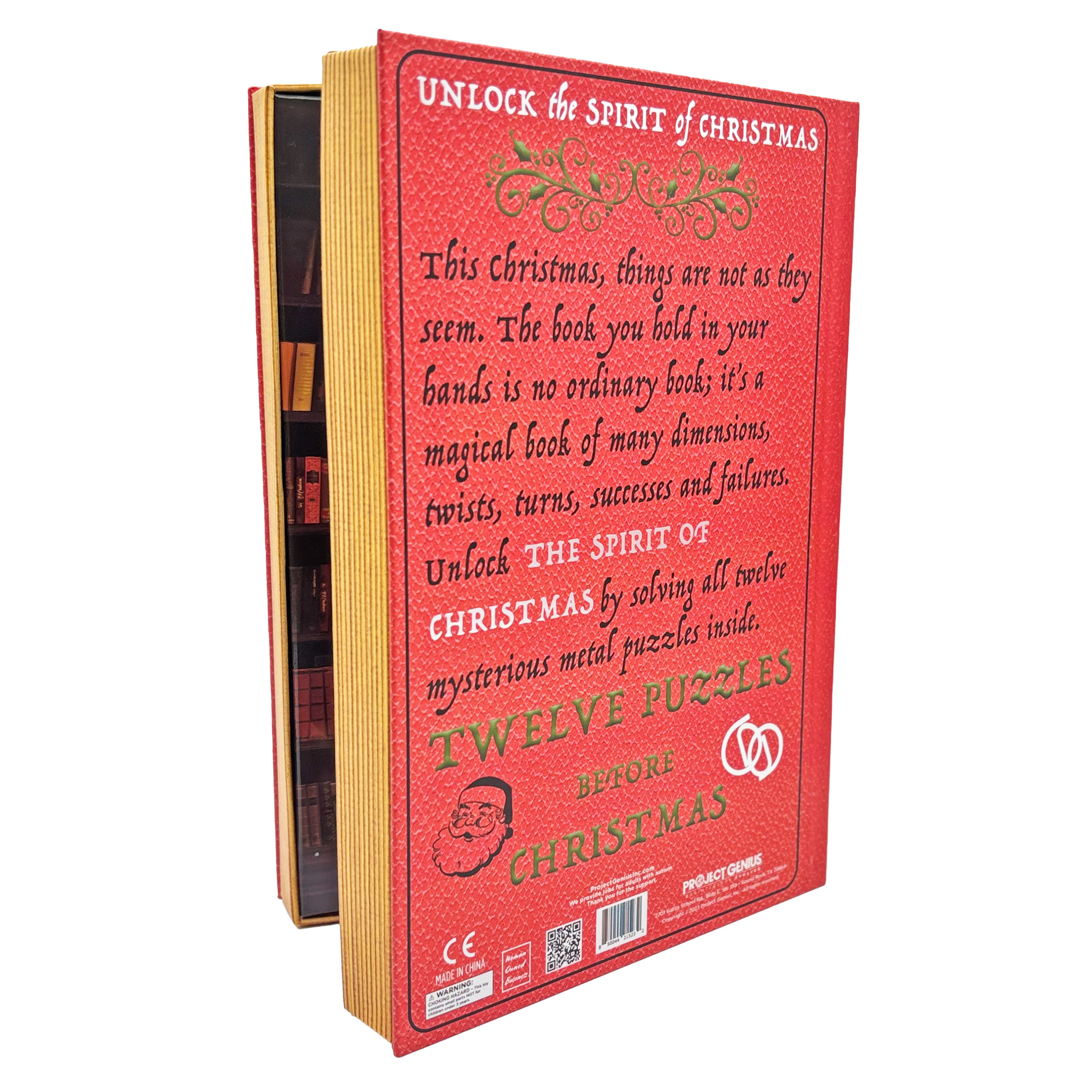 Project Genius: Christmas Countdown Book - 12 Puzzles Before