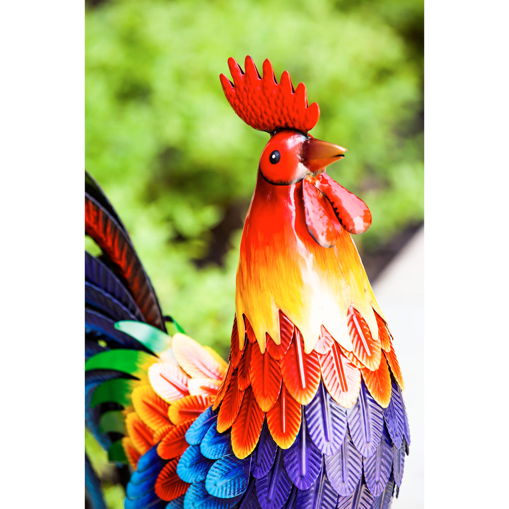 Evergreen_ Metal Rooster – Prairie Blossom Nursery