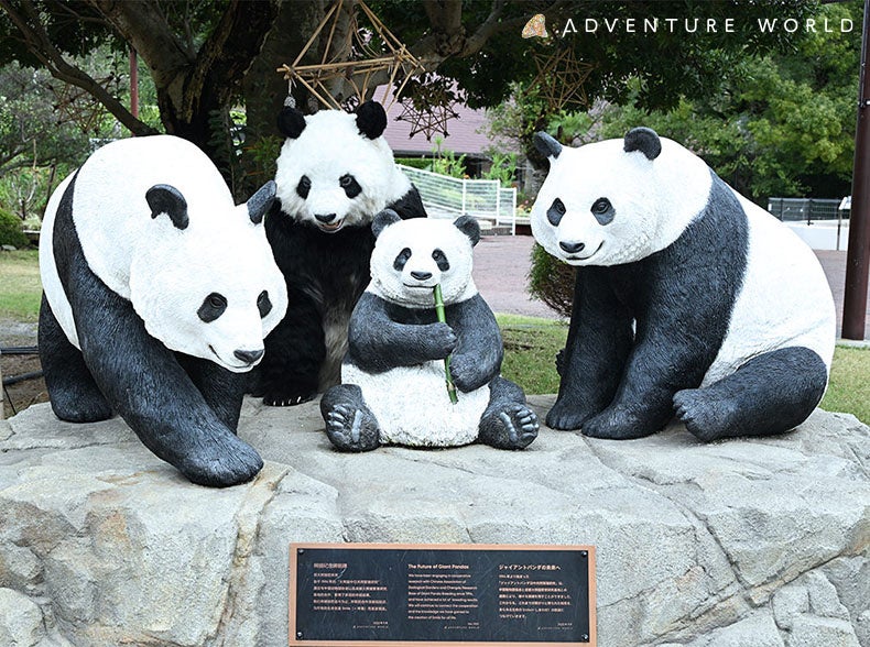 アドベンチャーワールドに新種のパンダ？「新種パンダワールド」がOPEN