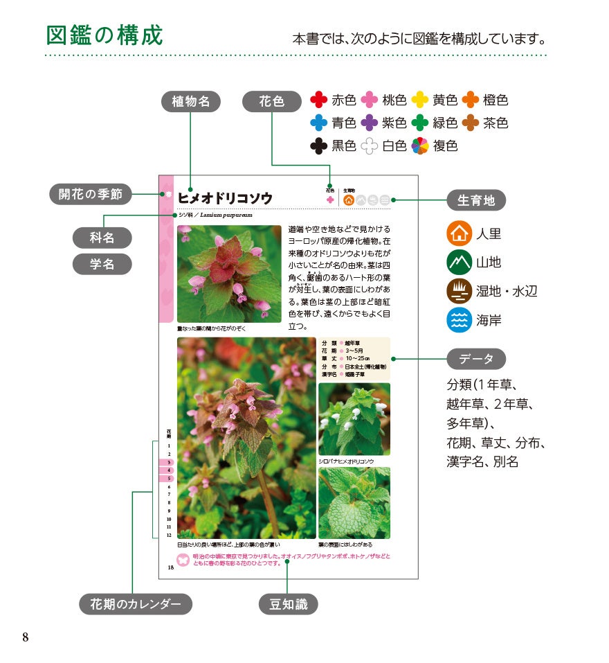 いつもの散歩が楽しくなる！ハンディサイズの花図鑑『新・散歩で