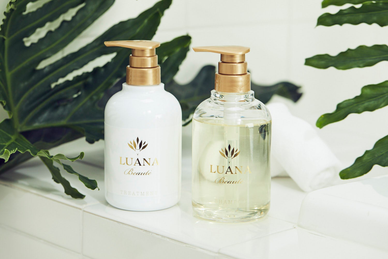 ヘアケアブランド『LUANA Beauté』 11月4日(金) ドン・キホーテ系列