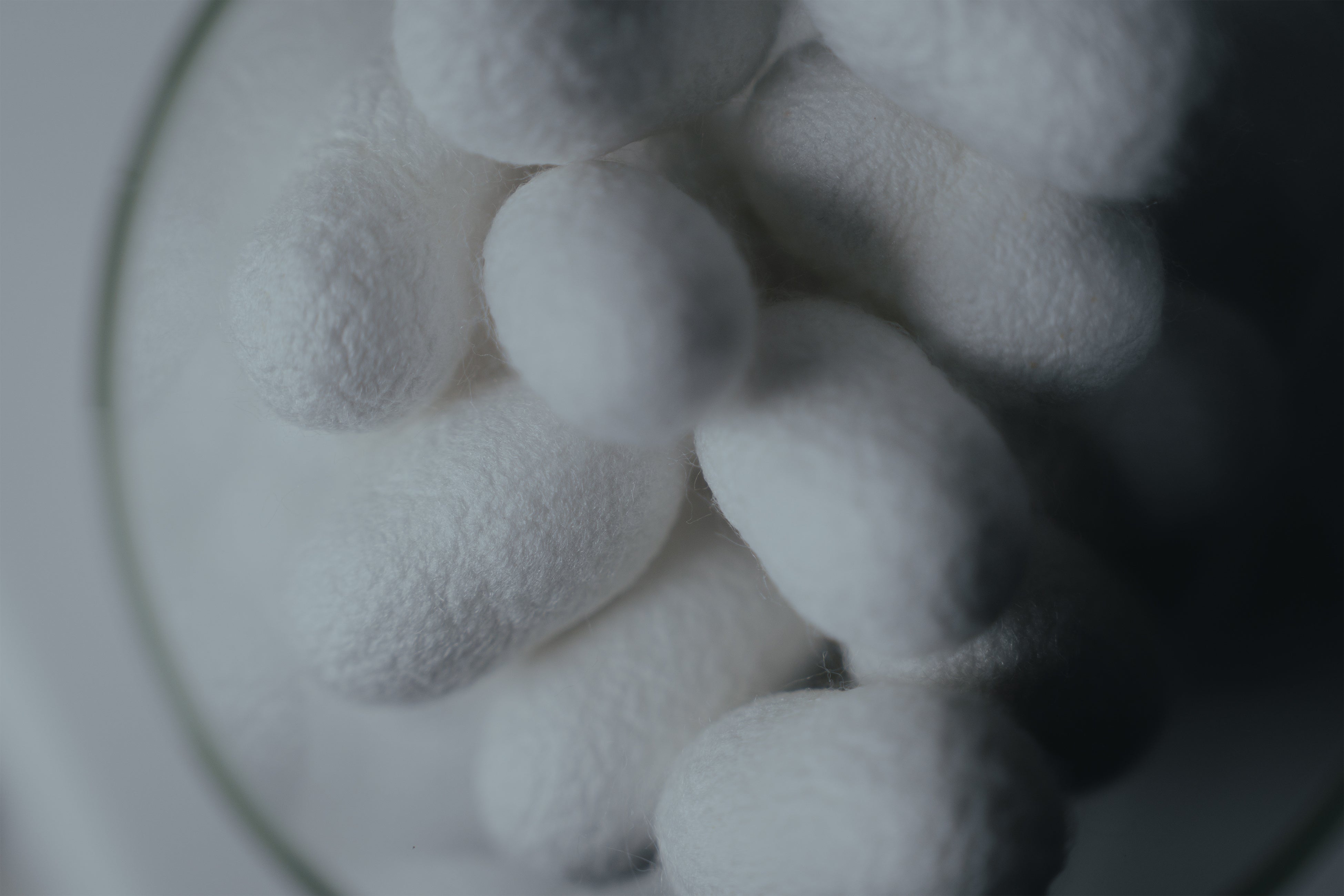 発酵エイジングケア*¹ブランド「FAS」から新たに誕生する「FAS ザ