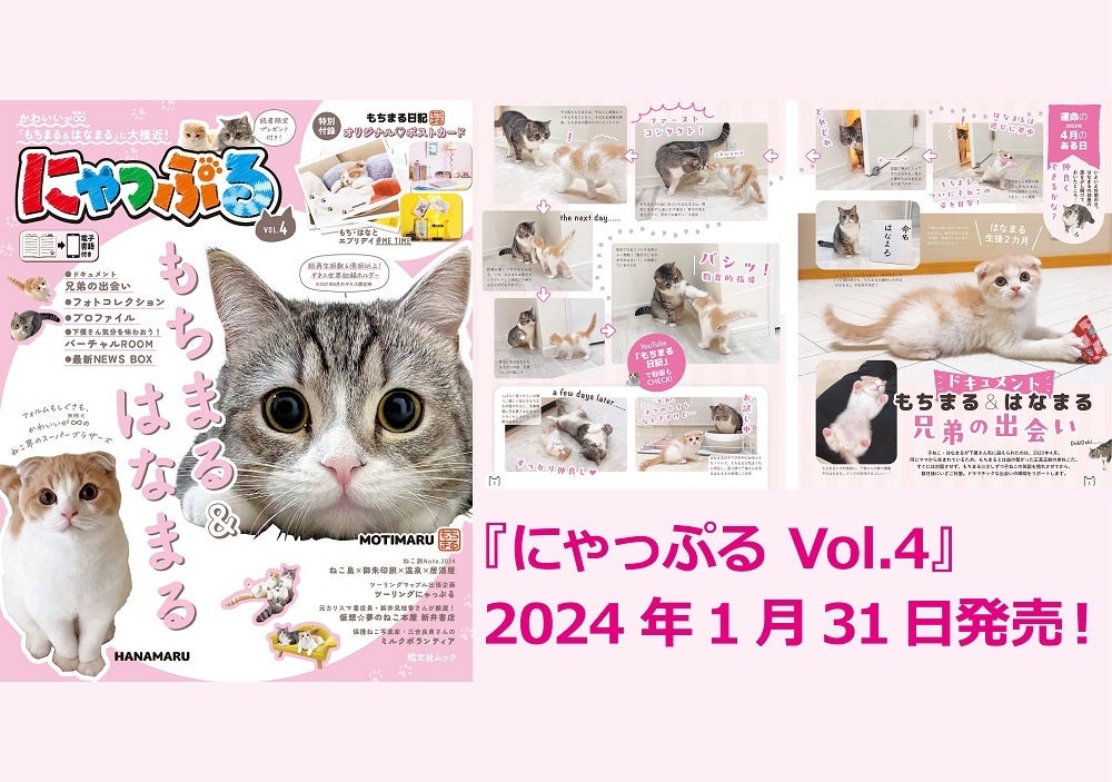 ねこ界のスーパーブラザーズ「もちまる＆はなまる」登場！人気シリーズ