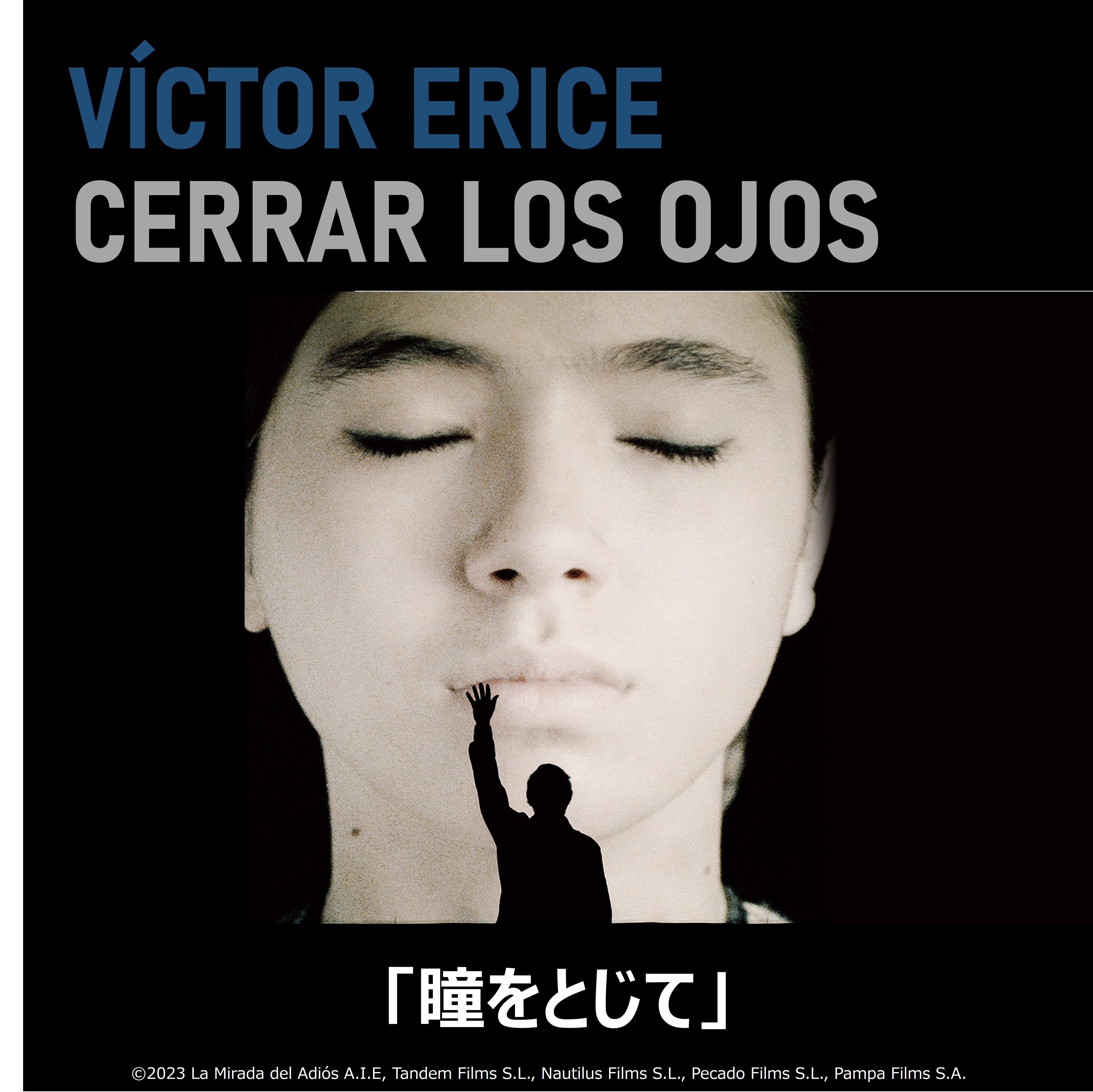 31年の時を経て最新作『瞳をとじて』配信！『ミツバチのささやき