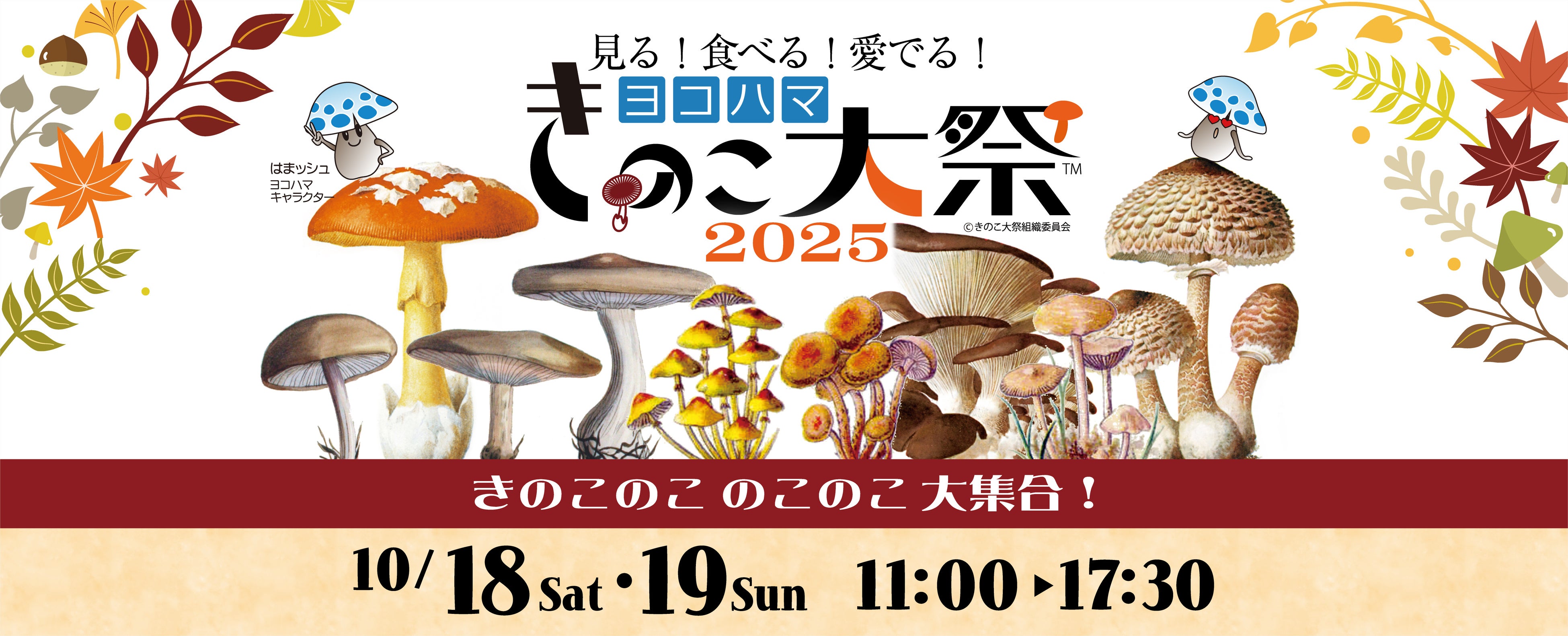 見て・食べて・楽しむ！きのこの祭典『ヨコハマきのこ大祭2025』開催