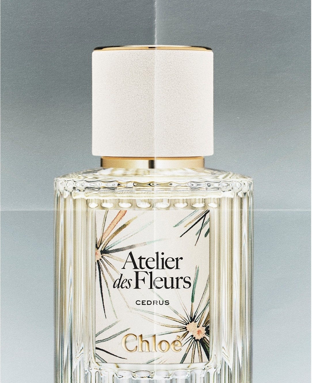 唯一無二のウッディフレグランス「クロエ アトリエ デ フルール シダー
