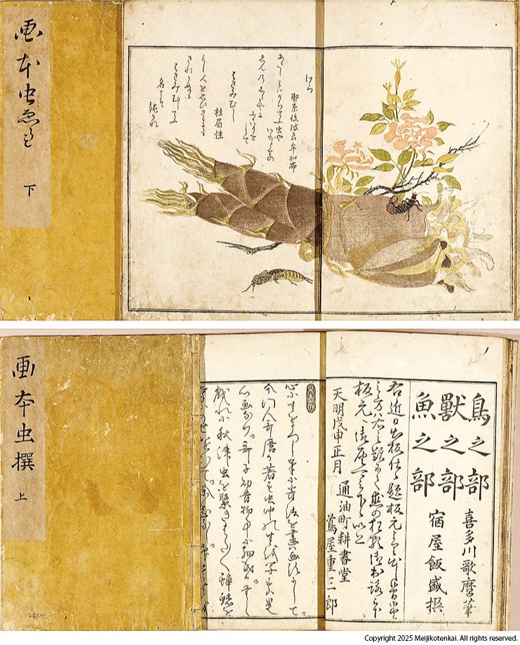 古今東西の文化資料が大集結！国内で最も歴史のある古書オークション