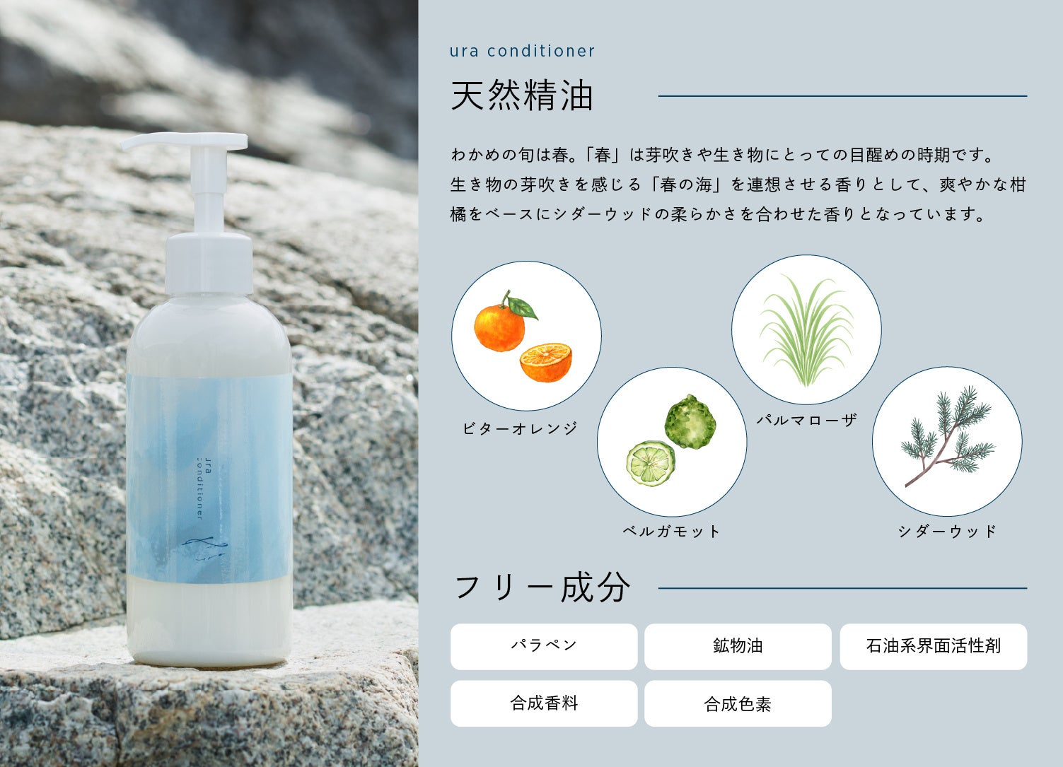 陸前高田発！未利用わかめから生まれたアップサイクル・ヘアケア商品の