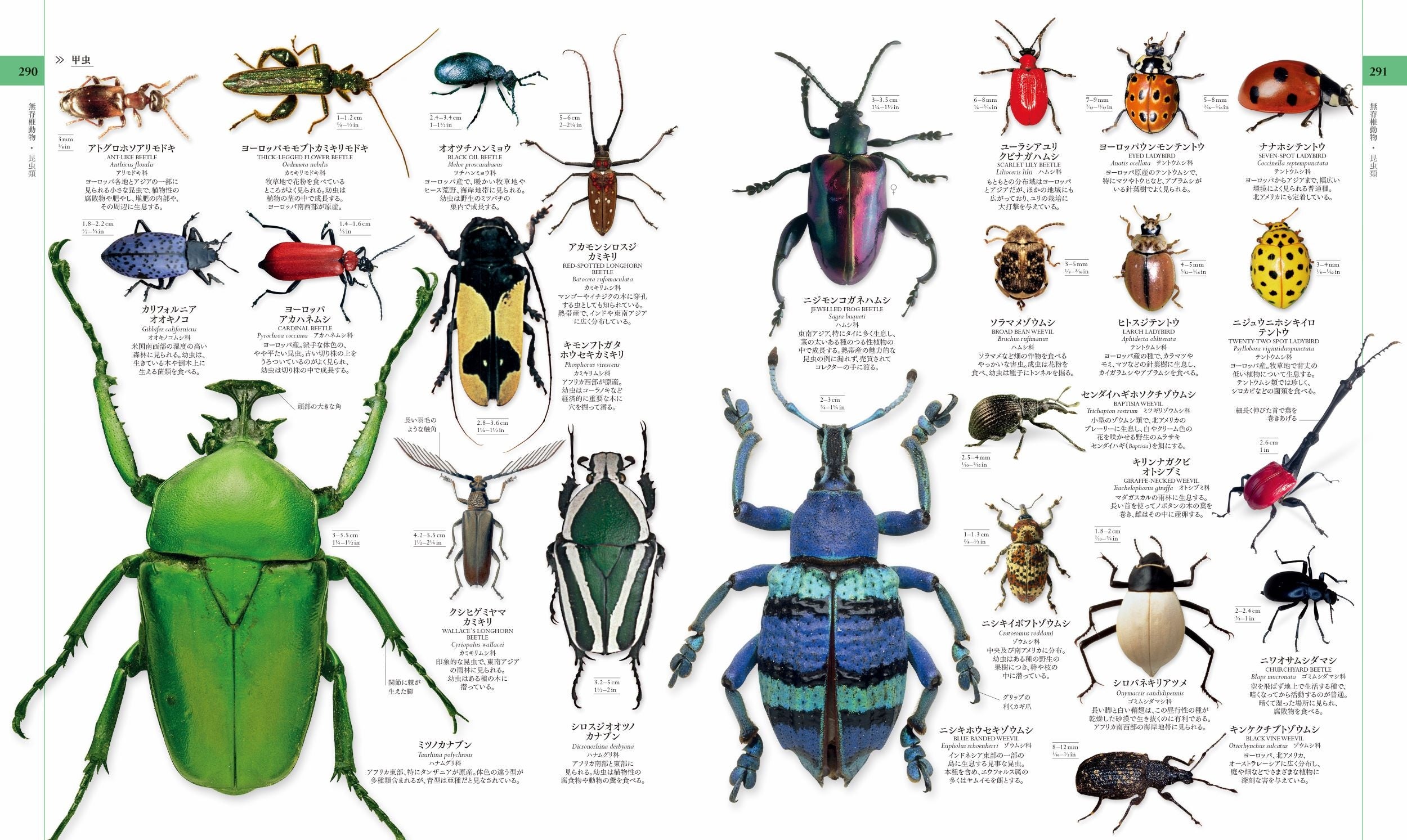 ページを開くと、ここは世界最大の博物館！ 全世界で75万部の