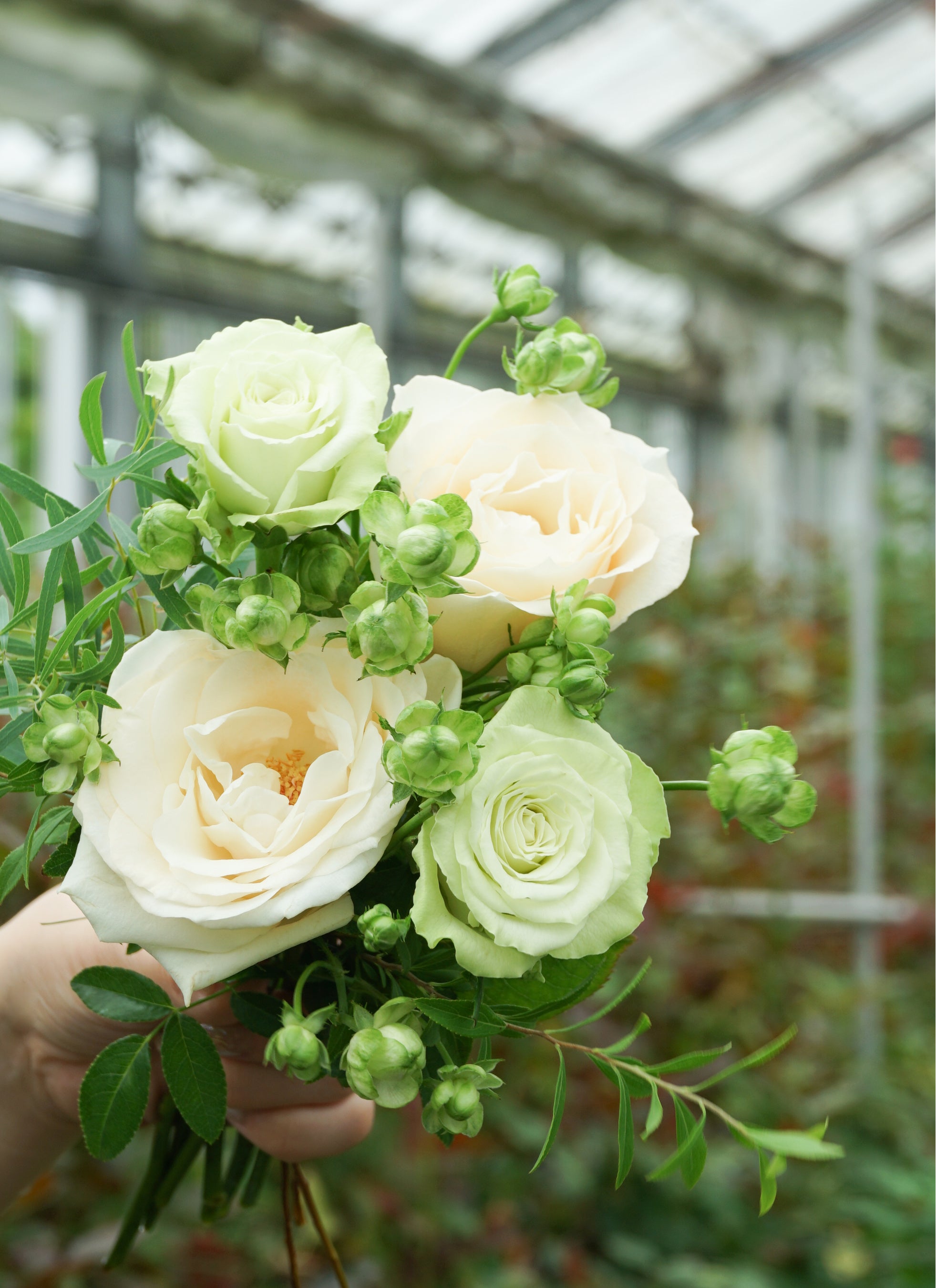 フラワーとグリーンの通販サイト「HitoHana（ひとはな）」が切り花の