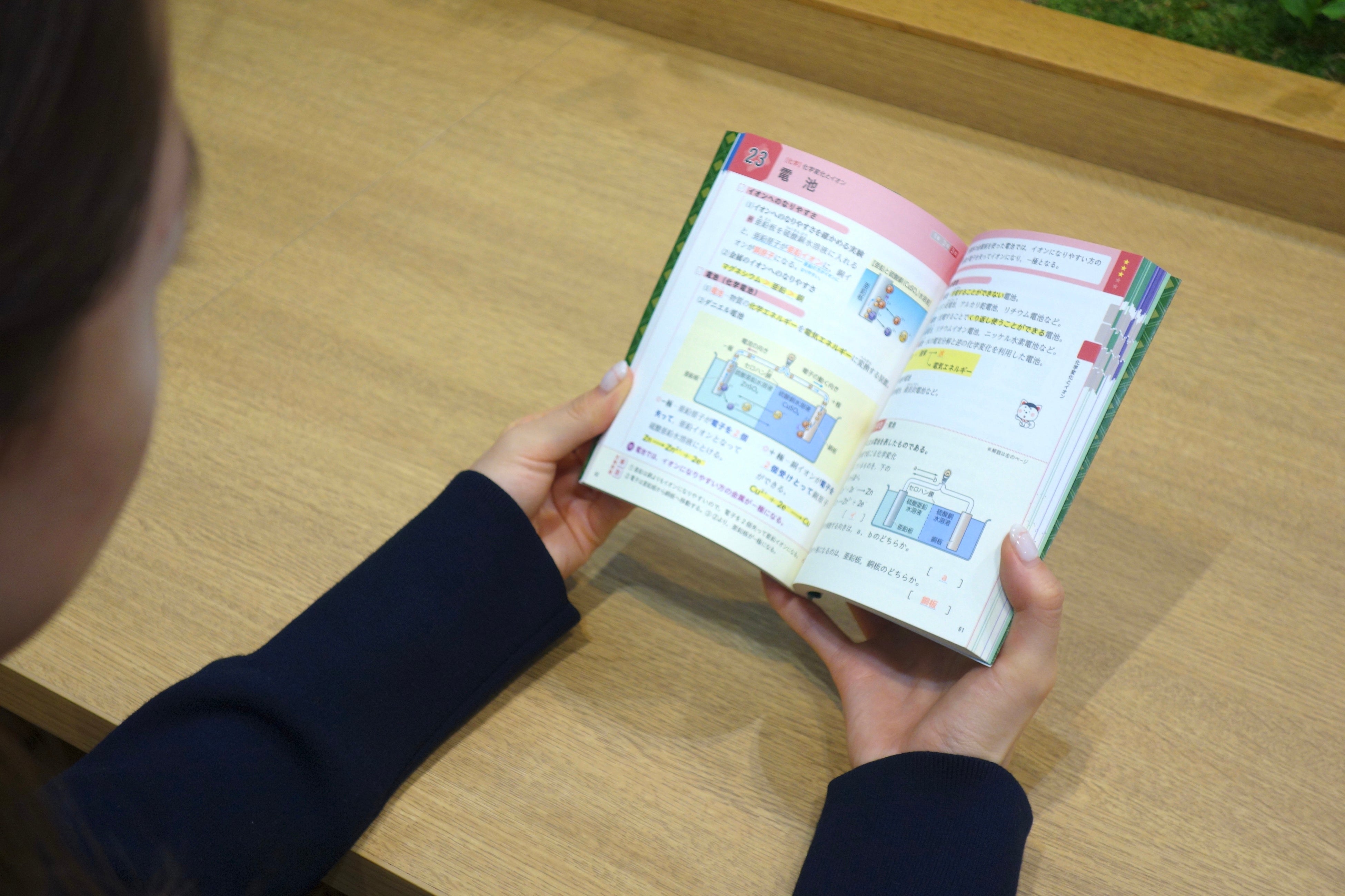 入試対策はこれ1冊で！】入試に出る要点がギュッと詰まったポケット