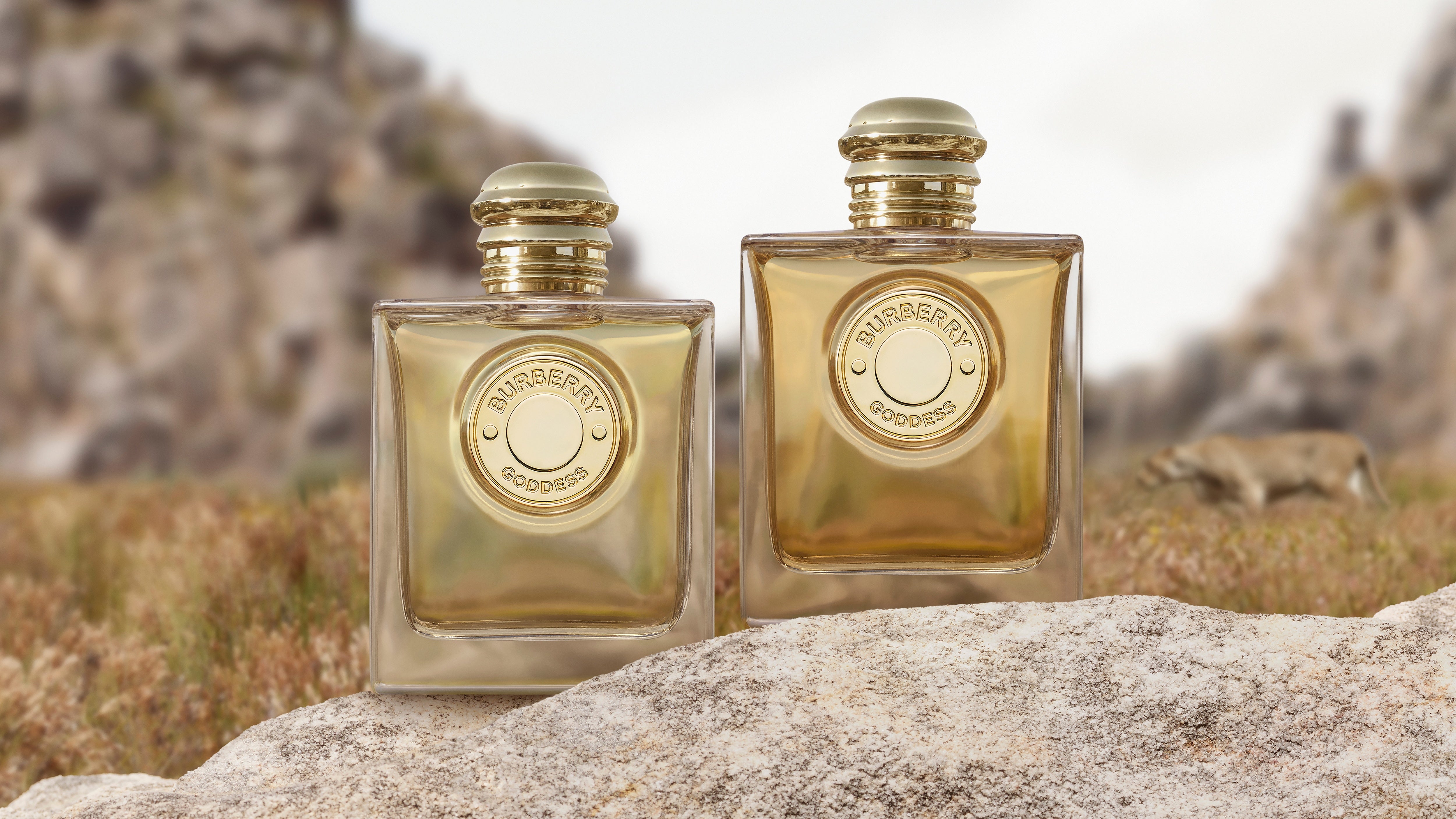 バーバリーから、バニラの四重奏が織りなす新フレグランス「バーバリー