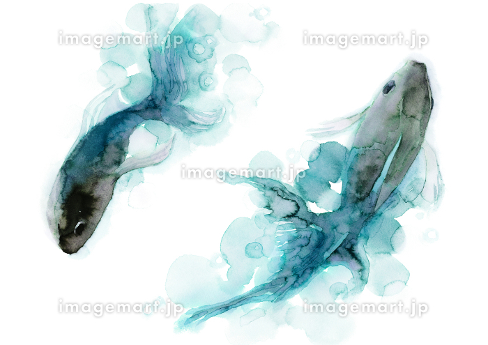 水中を泳ぐ魚の水彩イラスト [189929568]｜毎月1点無料（フリー）の