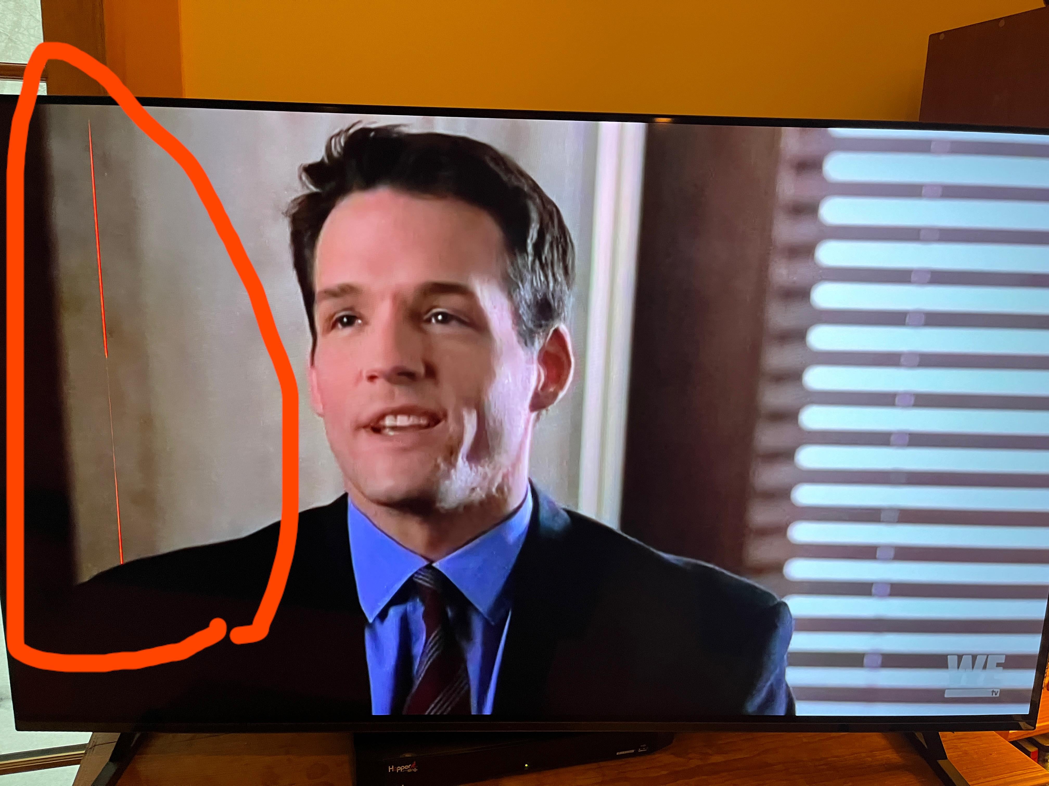 この縦線って何なんだろう？ : r/bravia