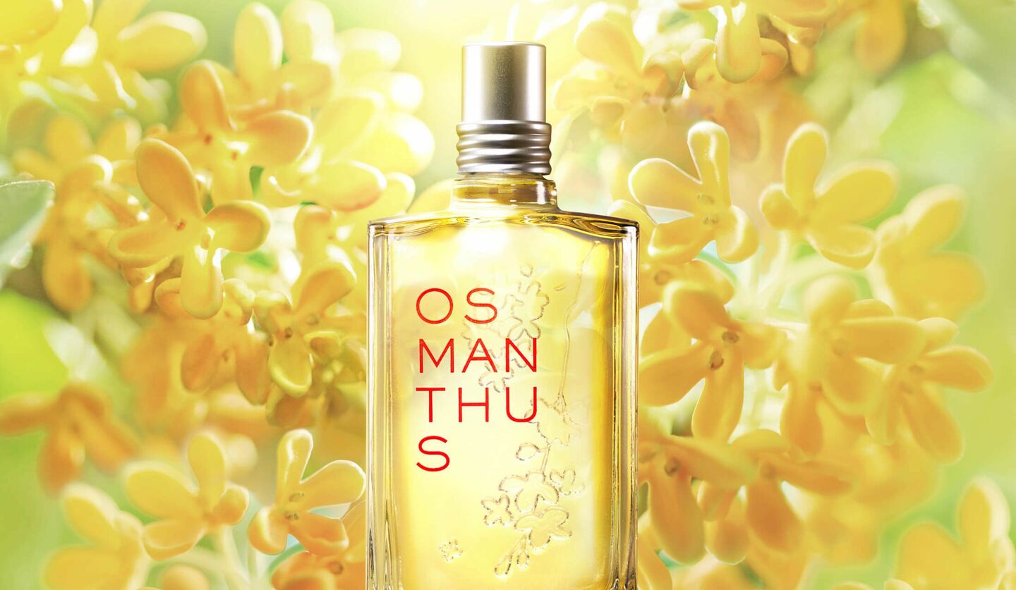 ロクシタン」から大ヒットの “艶めく金木犀の香り”『オスマンサス