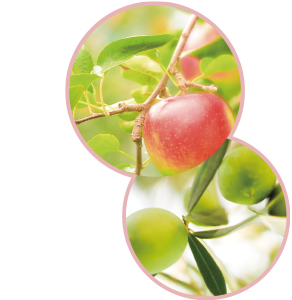 PPオールインワンローション - 株式会社プレステージ