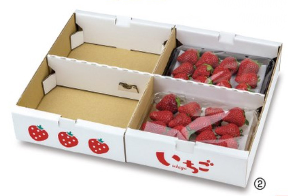 いちごおまとめセットテラヘルツマット2kg 300gカッサステック いちご