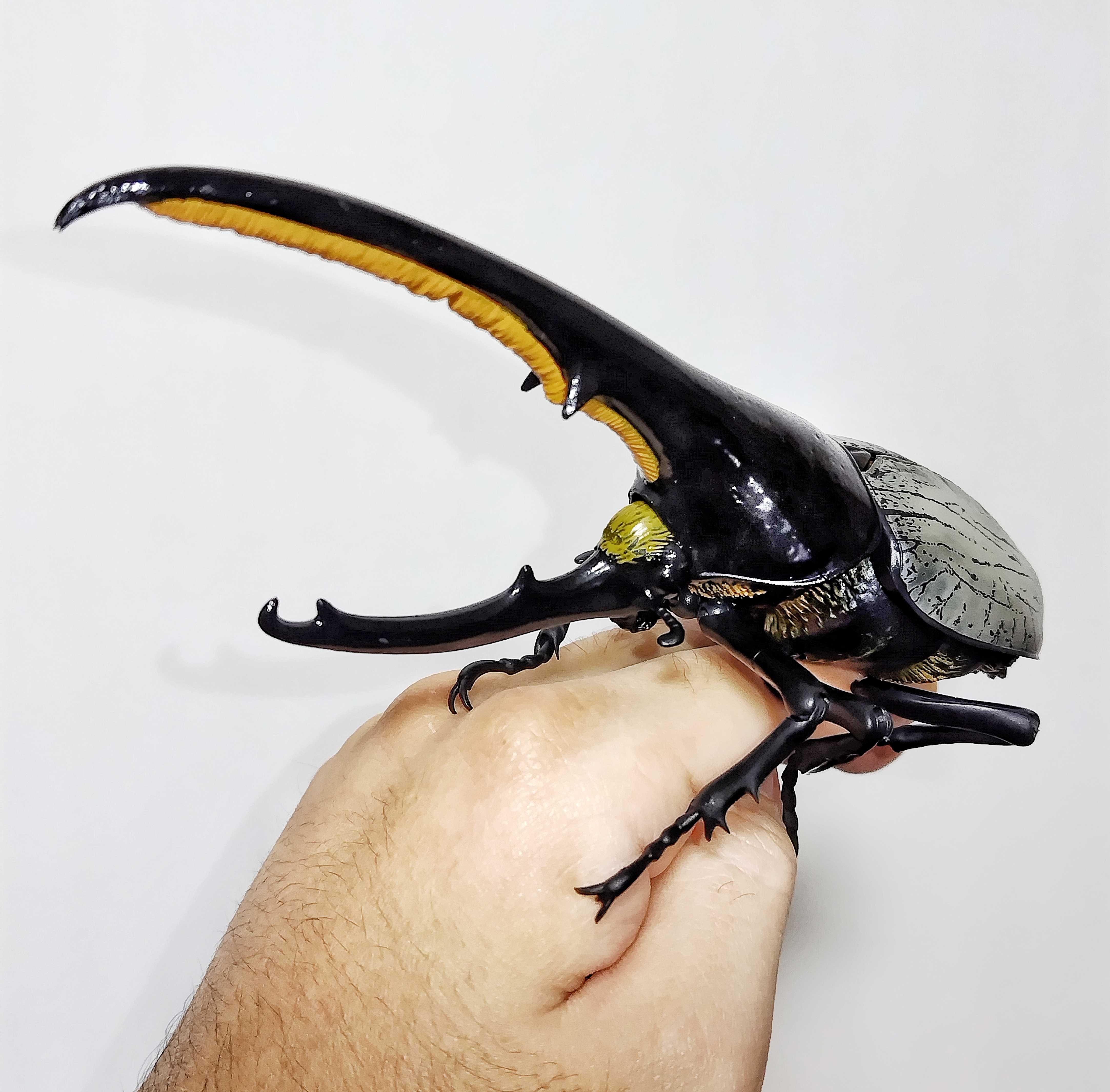 いきもの大図鑑ヘラクレスと涅槃模型のギラファノコギリクワガタ