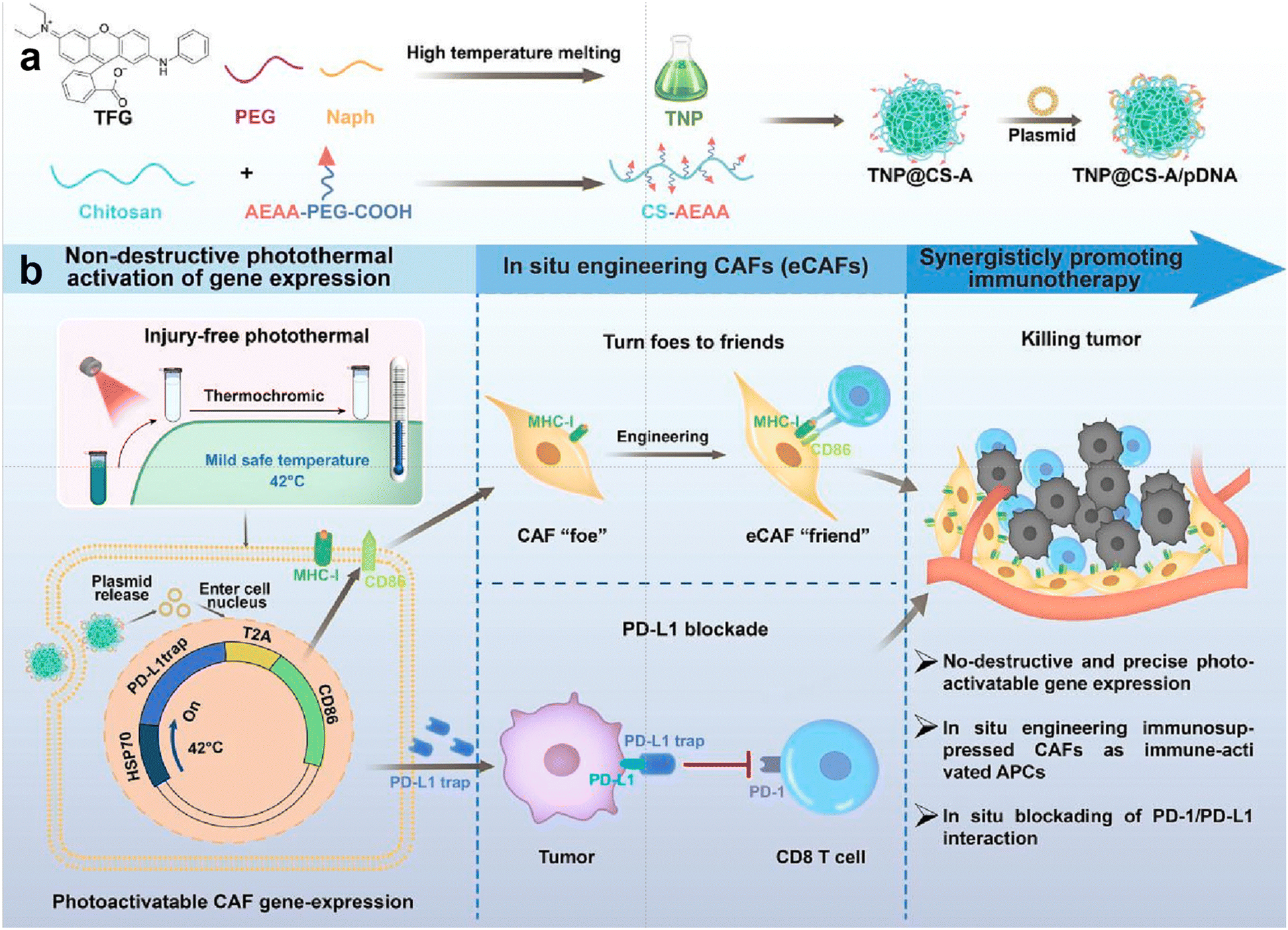 Immunological nanomaterials to combat cancer metastasis - Chemical