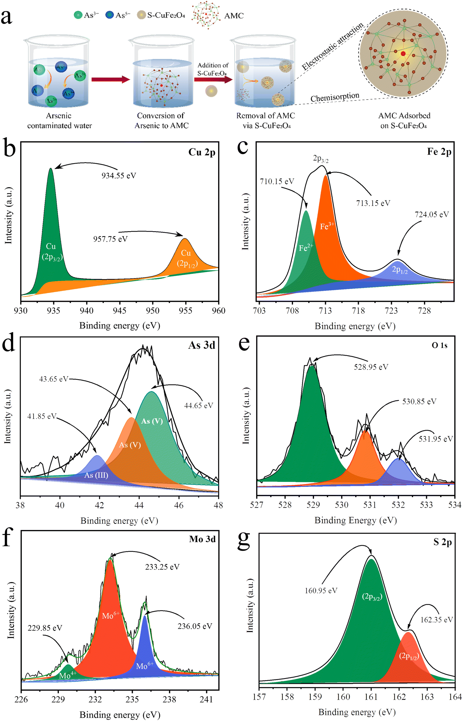 A report on arsenic removal from water via adsorption of an