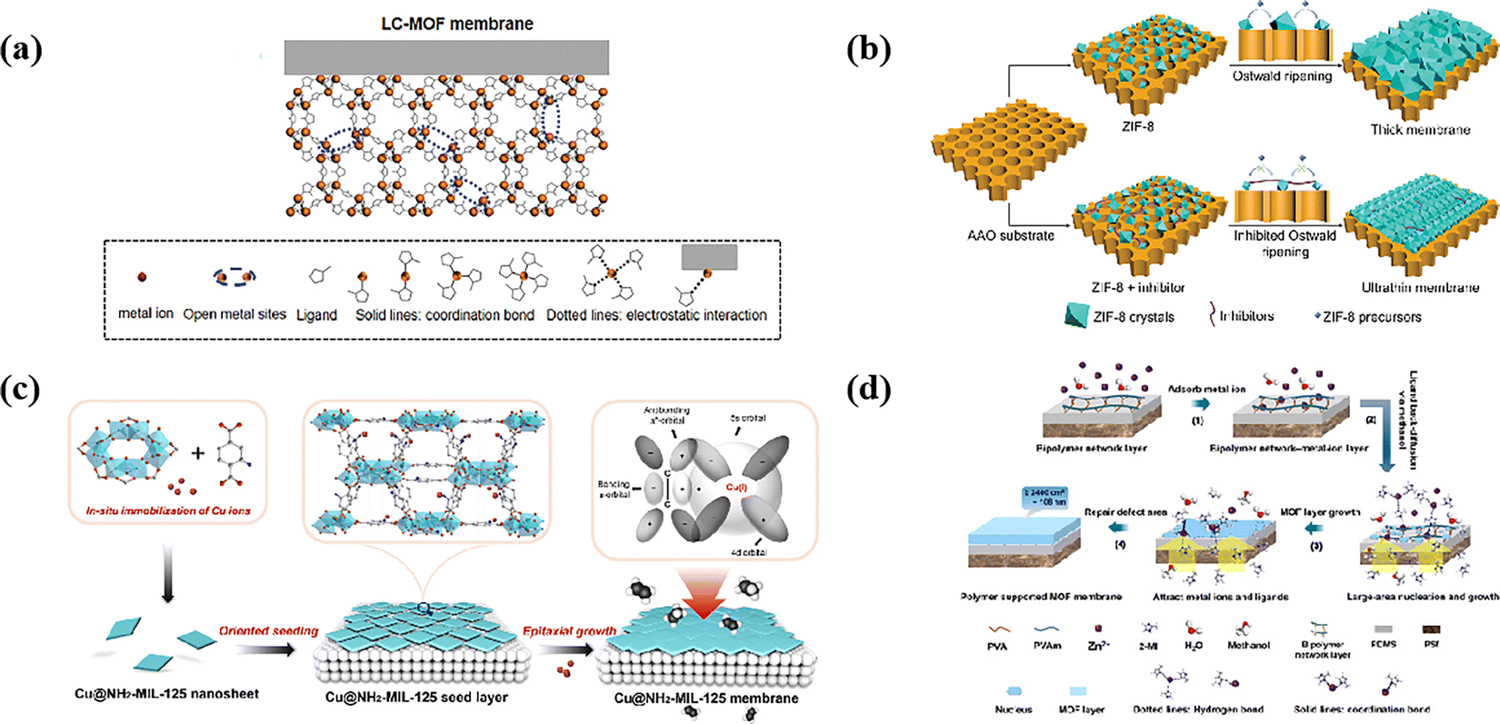 Crystalline porous membrane devices: emerging architectures for